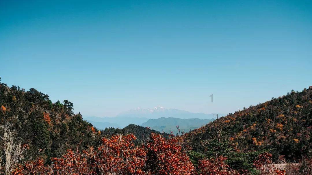 室内垫层厚度一般多少？游戏画面